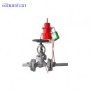 門(mén)閥鎖具|工業(yè)鎖具_(dá)whonton萬(wàn)用門(mén)閥鎖具WHV37