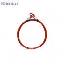 雙孔纜索|工業(yè)鎖具_(dá)Whonton雙孔纜索WHC21