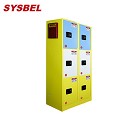 Sysbel西斯貝爾分區(qū)域存儲六門化學品安全柜WA032050