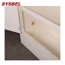 Sysbel西斯貝爾12Gal雙GA鎖強腐蝕性化學(xué)品儲存柜ACP810012GA