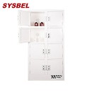 Sysbel西斯貝爾40Gal八門強(qiáng)腐蝕性化學(xué)品儲存柜ACP810040