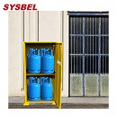 SYSBEL西斯貝爾LP/OXY網狀氣瓶柜WA720204