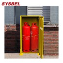 SYSBEL西斯貝爾LP/OXY網(wǎng)狀氣瓶柜WA720304