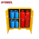 SYSBEL西斯貝爾LP/OXY網狀氣瓶柜WA720484